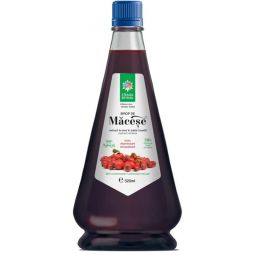 Sirop macese 520ml - SANTO RAPHAEL