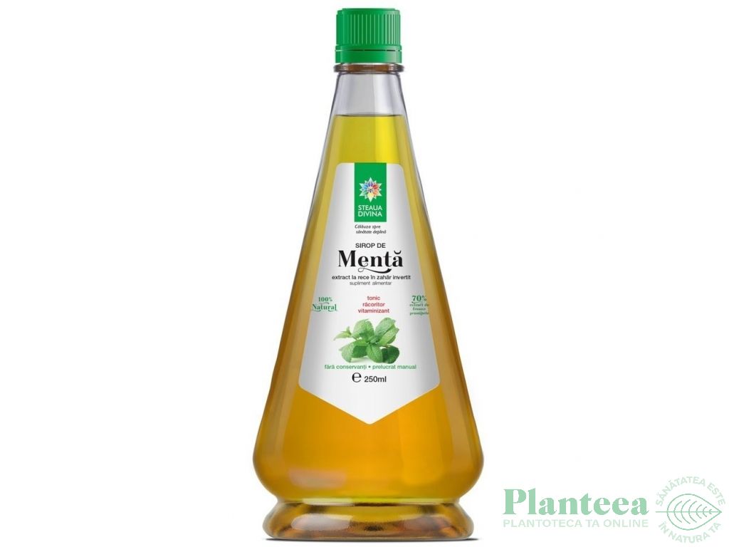 Sirop menta 250ml - SANTO RAPHAEL