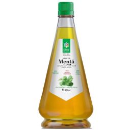 Sirop menta 250ml - SANTO RAPHAEL