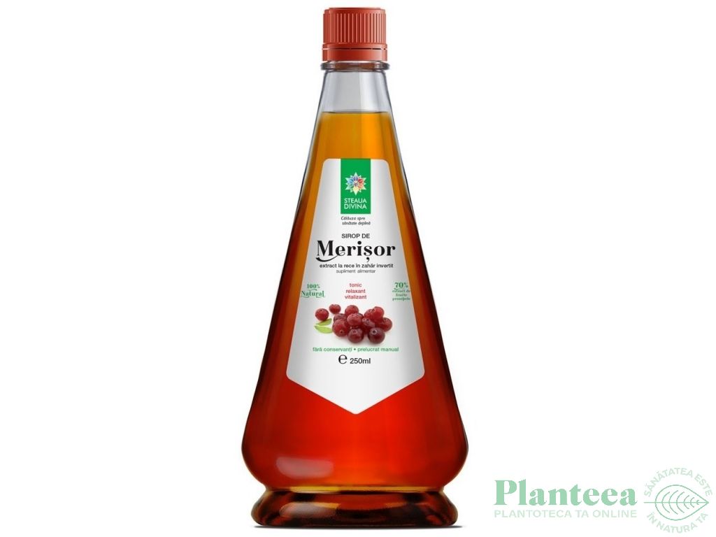 Sirop merisor 250ml - SANTO RAPHAEL