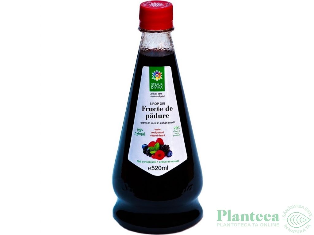 Sirop fructe padure 520ml - SANTO RAPHAEL