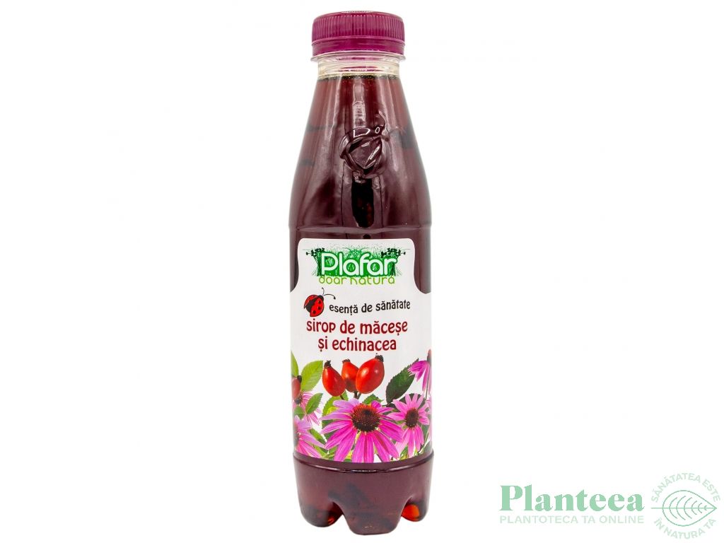 Sirop macese echinaceea 500ml - PLAFAR