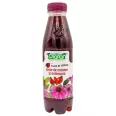 Sirop macese echinaceea 500ml - PLAFAR