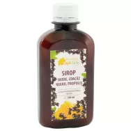 Sirop miere coacaz negru propolis 200ml - APILIFE