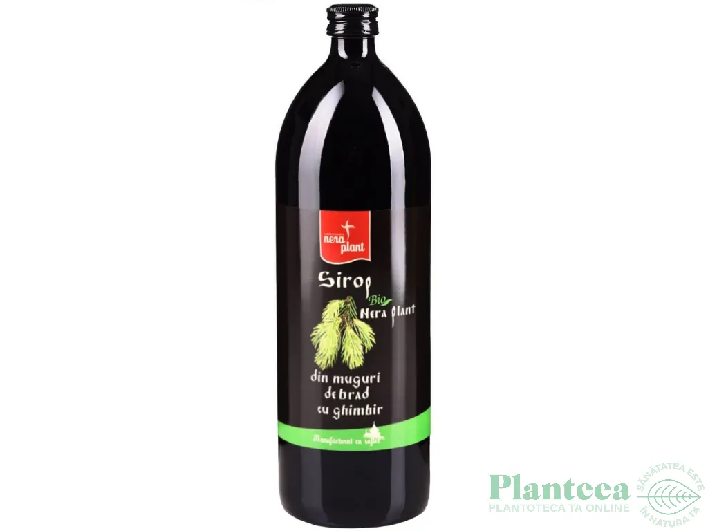 Sirop muguri brad ghimbir bio 1L - NERA PLANT