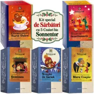 Kit 5Ceaiuri Sarbatoare [Semineu + Noapte + Mere Coapte + Turta dulce + Elixir scortisoara] eco 5b - SONNENTOR