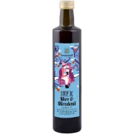 Sirop concentrat mere mirodenii fara zahar eco 500ml - SONNENTOR