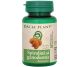Spirulina ganoderma 60cp - DACIA PLANT