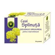 Ceai splinuta 30g - HYPERICUM PLANT