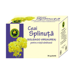 Ceai splinuta 30g - HYPERICUM PLANT