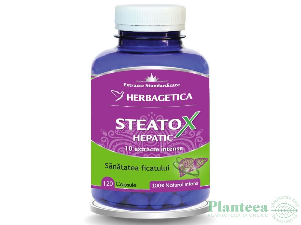 Steatox Hepatic 120cps - HERBAGETICA