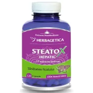 Steatox Hepatic 120cps - HERBAGETICA