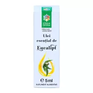 Ulei esential eucalipt uz intern 5ml - SANTO RAPHAEL