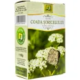 Ceai coada soricelului 50g - STEFMAR