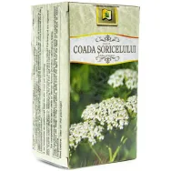 Ceai coada soricelului 20dz - STEFMAR