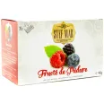 Ceai cu fructe padure premium 20dz - STEFMAR