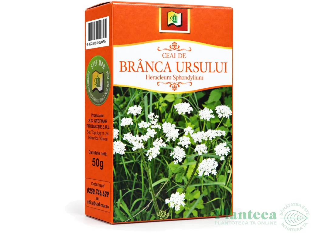 Ceai branca ursului 50g - STEFMAR