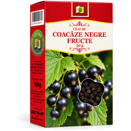 Ceai coacaze negre fructe 50g - STEFMAR