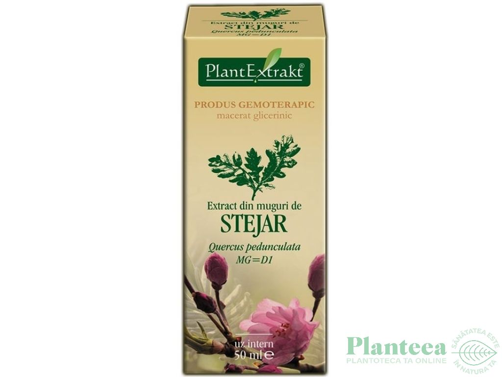 Gemoderivat stejar muguri 50ml - PLANTEXTRAKT