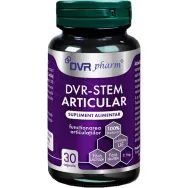 Stem Articular 1x30cps - DVR PHARM