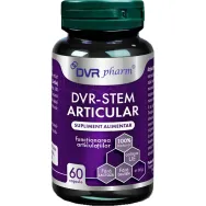 Stem Articular 60cps - DVR PHARM