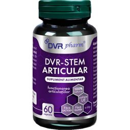 Stem Articular 60cps - DVR PHARM