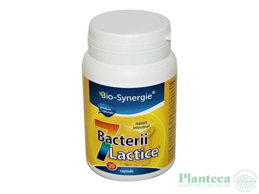 7 bacterii lactice 20cps - BIO SYNERGIE