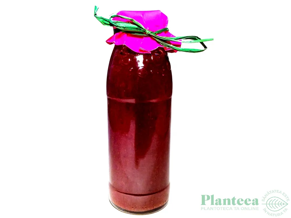 Nectar prune fara zahar 330g - CASA GACIU