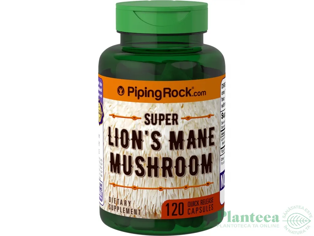 Super lions mane 120cp - MUSHROOM WISDOM