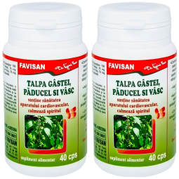 Set Talpa gastei paducel vasc 2x40cps - FAVISAN