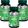 Set Tamaie extract [boswellia] 3x60cps - DVR PHARM