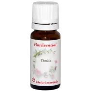 Ulei esential tamaie carteri 10ml - AQUA NANO