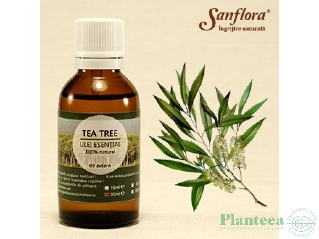 Ulei esential tea tree 50ml - SANFLORA
