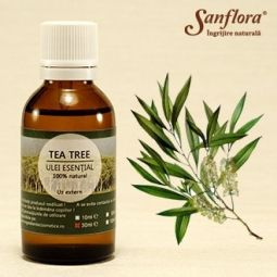 Ulei esential tea tree 100ml - SANFLORA