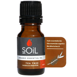 Ulei esential tea tree organic 10ml - SOiL