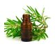 Ulei esential tea tree 30ml - SOLARIS
