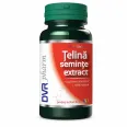 Telina seminte extract 1x30cps - DVR PHARM