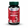 Telina seminte extract 1x60cps - DVR PHARM