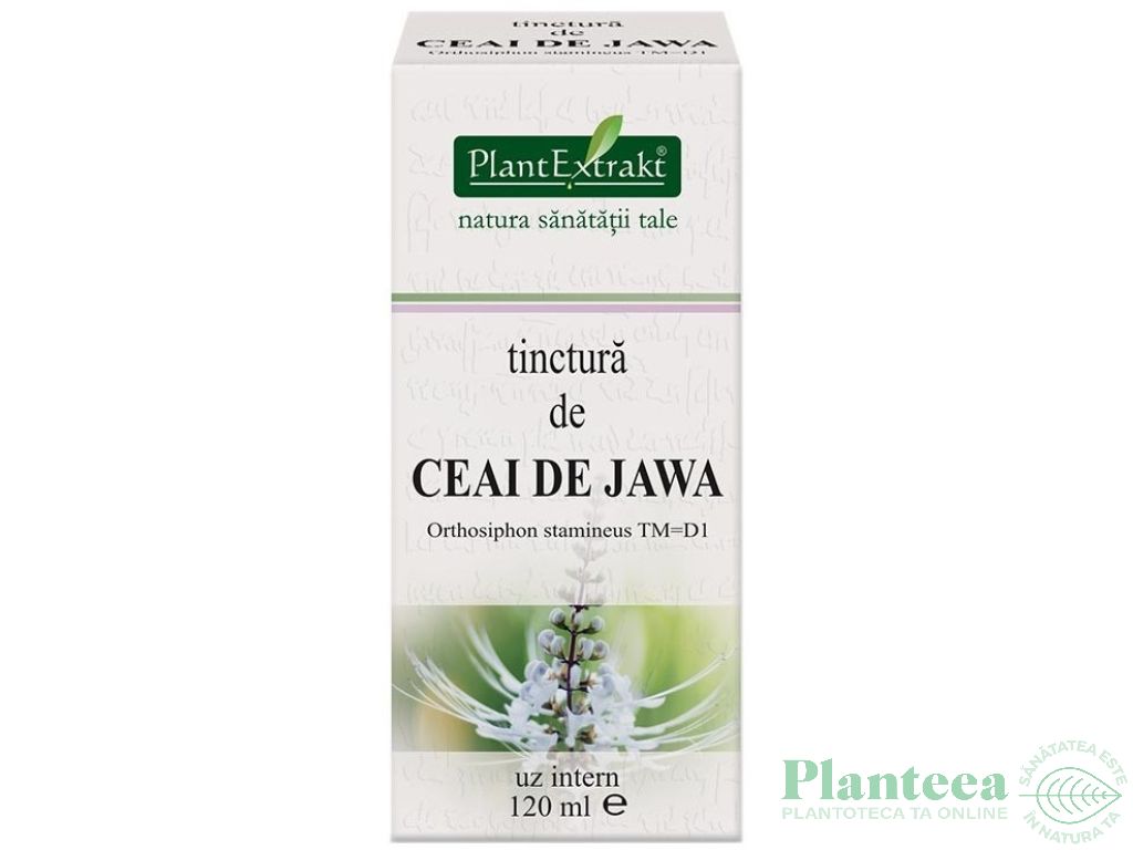 Tinctura ceai jawa 120ml - PLANTEXTRAKT