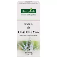 Tinctura ceai jawa 120ml - PLANTEXTRAKT