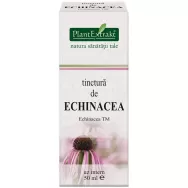 Tinctura echinaceea 50ml - PLANTEXTRAKT