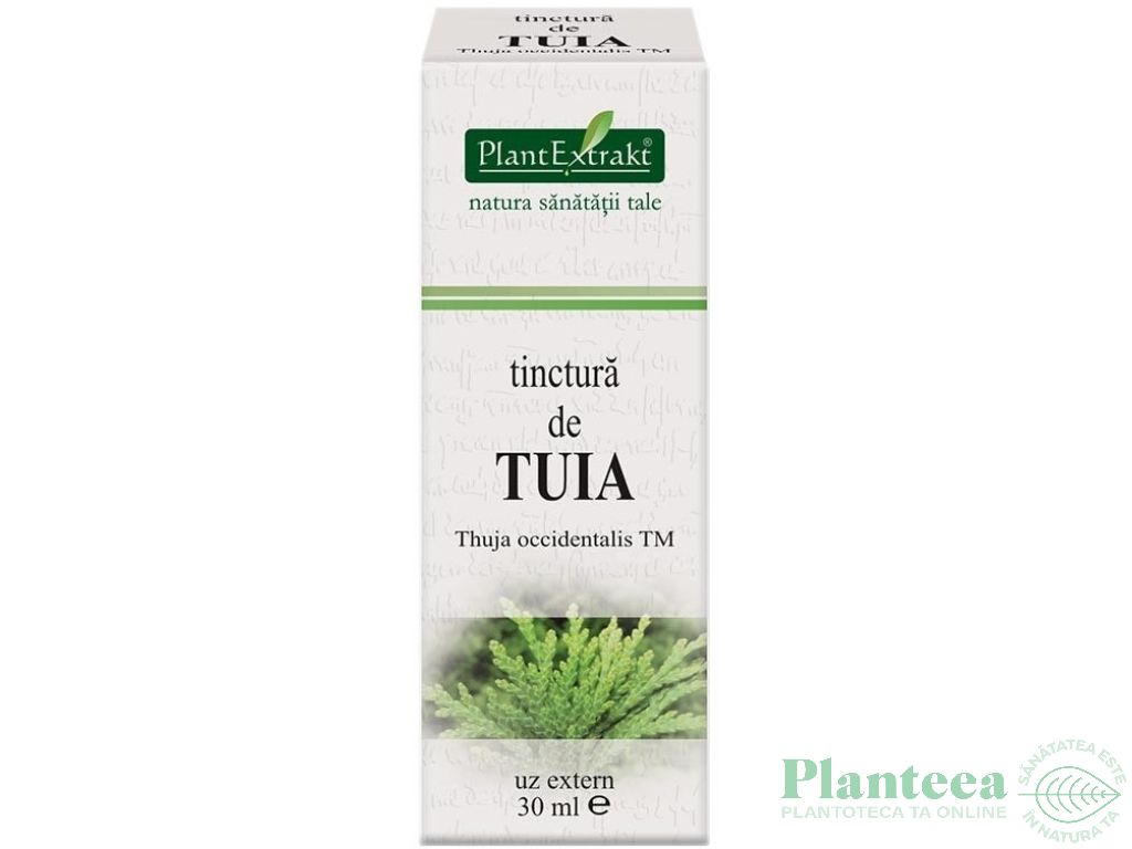 Tinctura tuia 30ml - PLANTEXTRAKT