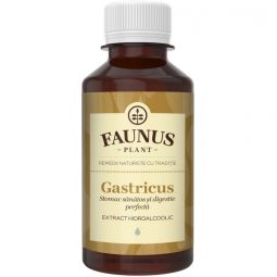 Tinctura gastricus 200ml - FAUNUS PLANT