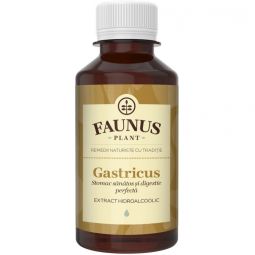 Tinctura gastricus 200ml - FAUNUS PLANT