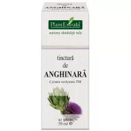 Tinctura anghinare 50ml - PLANTEXTRAKT