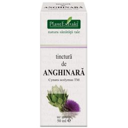 Tinctura anghinare 50ml - PLANTEXTRAKT