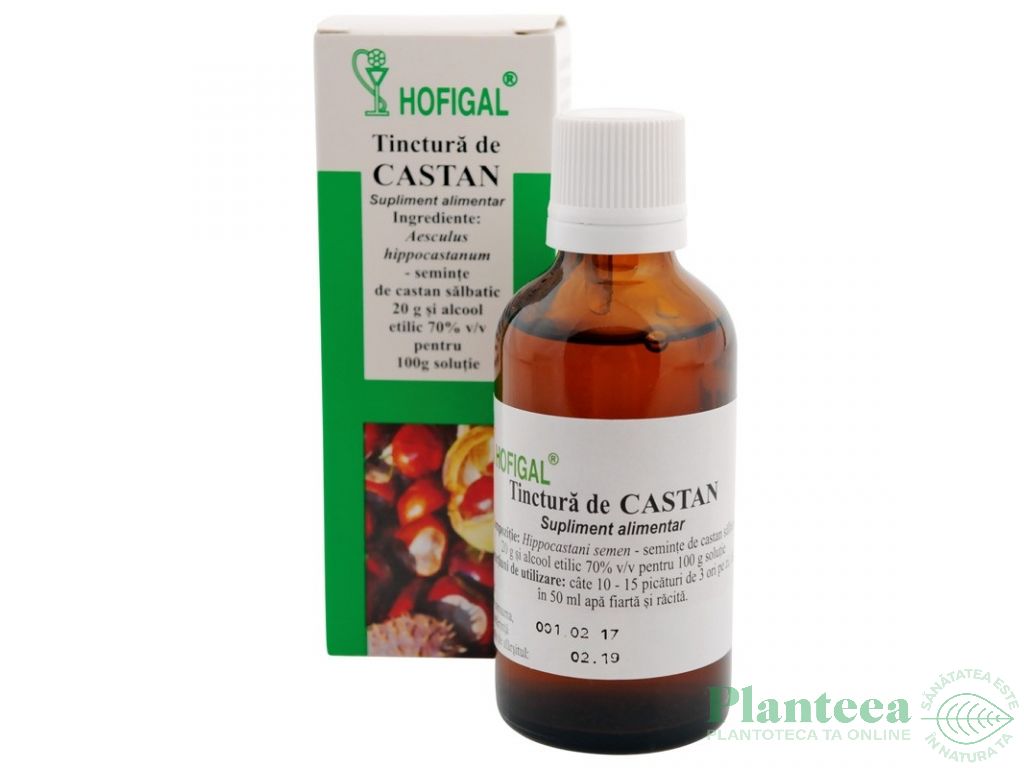 Tinctura castan 50ml - HOFIGAL