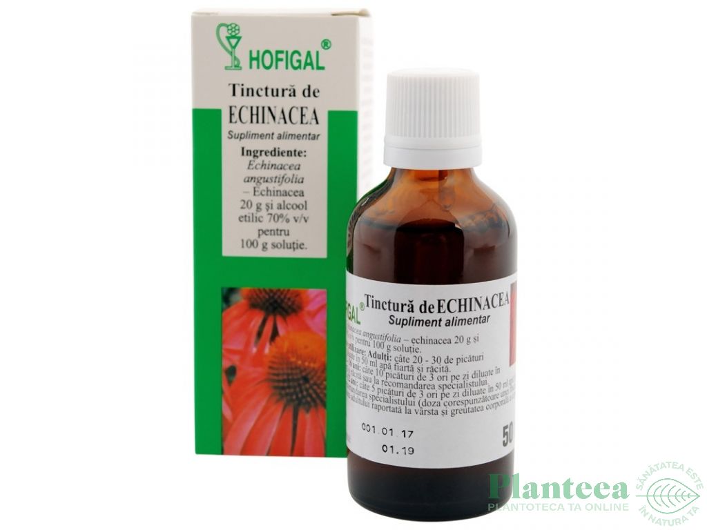 Tinctura echinaceea 50ml - HOFIGAL