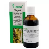 Tinctura mesteacan 50ml - HOFIGAL