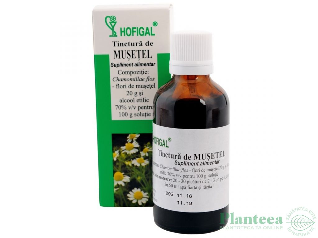 Tinctura musetel 50ml - HOFIGAL